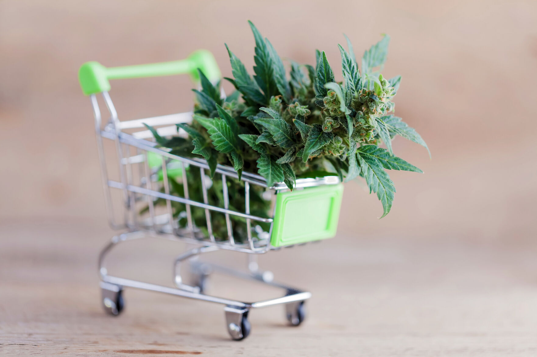 MARIJUANA IN SHOPPING CART
